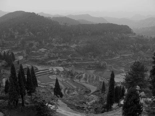 Chine en noir et blanc