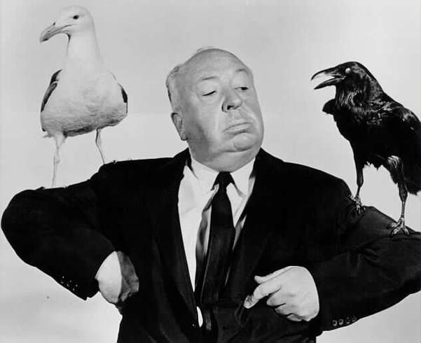 hitchcock