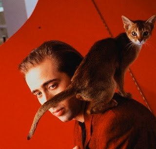 nicolas-cage