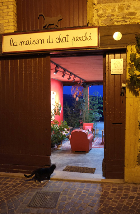 chat_perche_entree